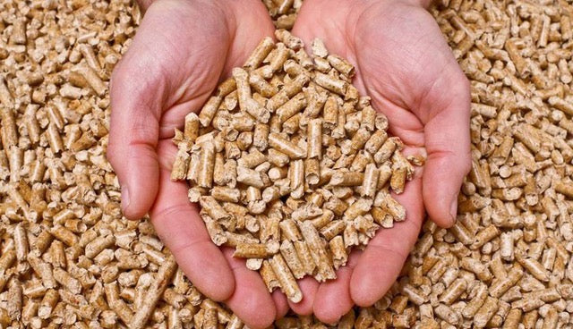 ¿Por qué elegir pellet gallego certificado ENplus A1?