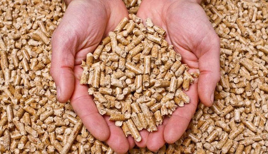 ¿Por qué elegir pellet gallego certificado ENplus A1?