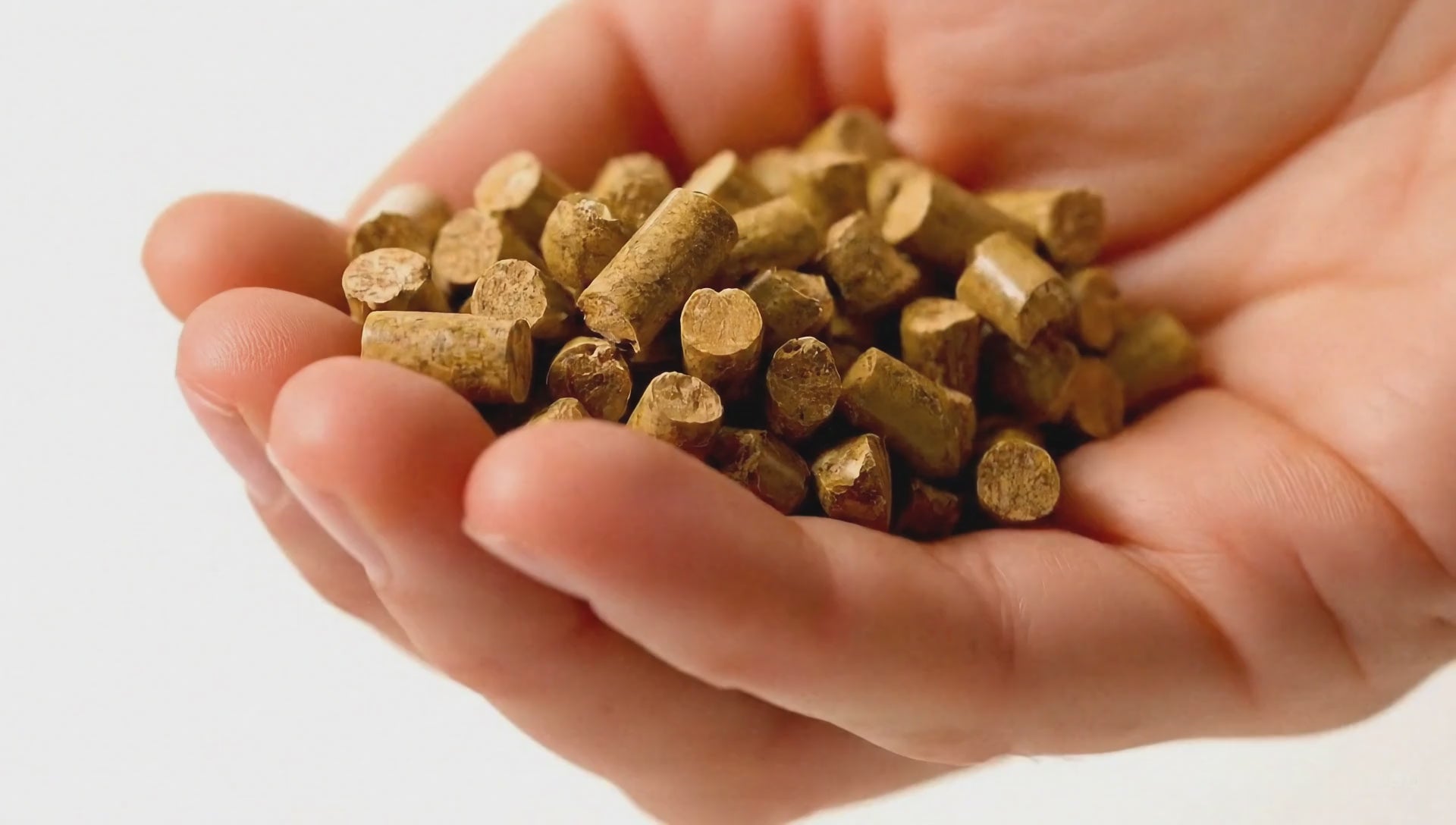Cargar video: El pellet que recomiendan los instaladores en Galicia